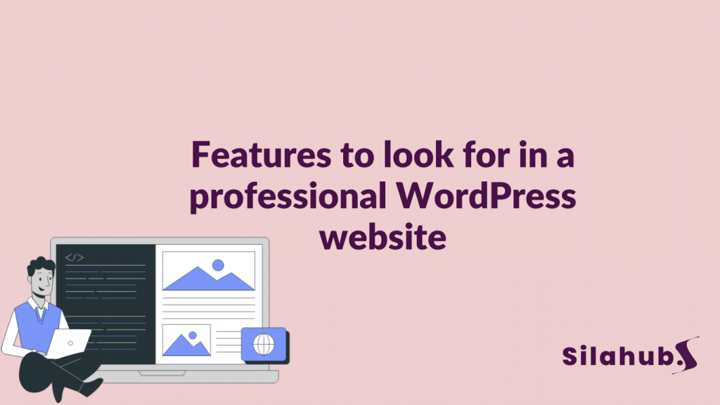 What features should you look for in a professional WordPress website?