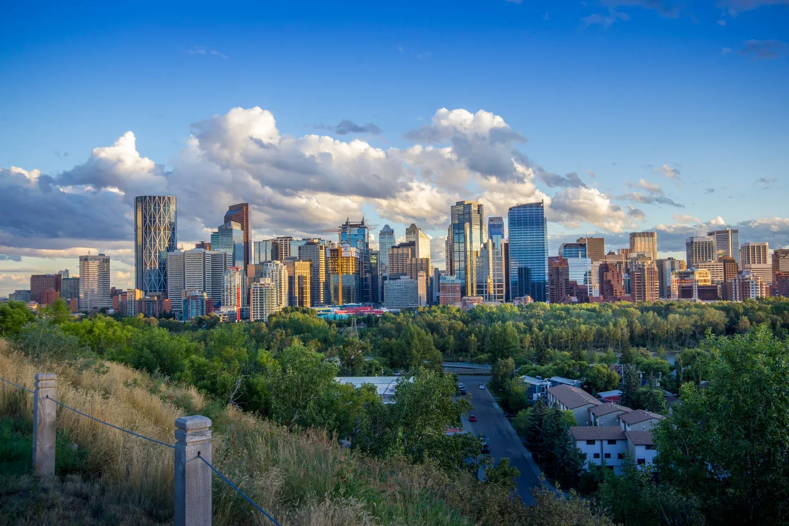 Why Local SEO Matters for Calgary Home Service Businesses